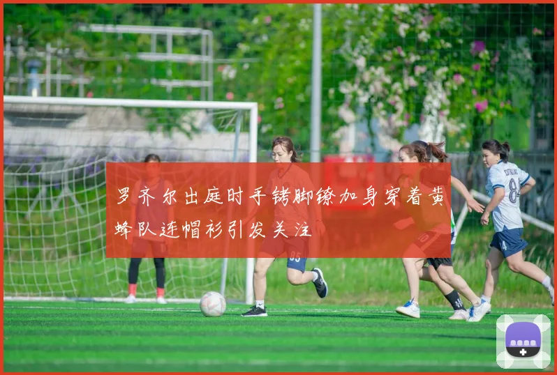 罗齐尔出庭时手铐脚镣加身穿着黄蜂队连帽衫引发关注