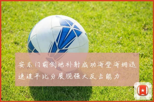 安东门前倒地补射成功海登海姆迅速追平比分展现强大反击能力