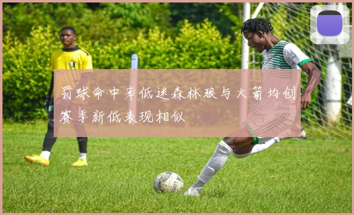 罚球命中率低迷森林狼与火箭均创赛季新低表现相似