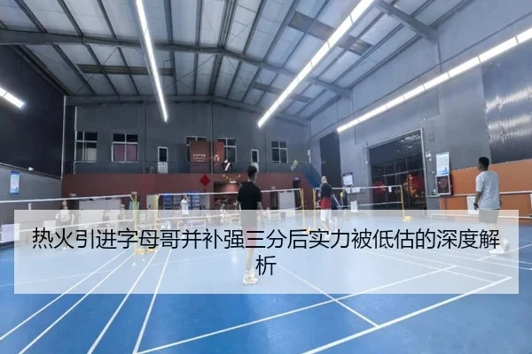 热火引进字母哥并补强三分后实力被低估的深度解析 | ManBetX